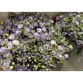 ইউনান ফুল রপ্তানি ডাস্টি গ্রে Lisianthus প্রিমিয়াম মানের
