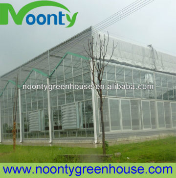 Venlo-Glass Greenhouse