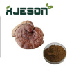 High quality Ganoderma lucidum polysaccharides