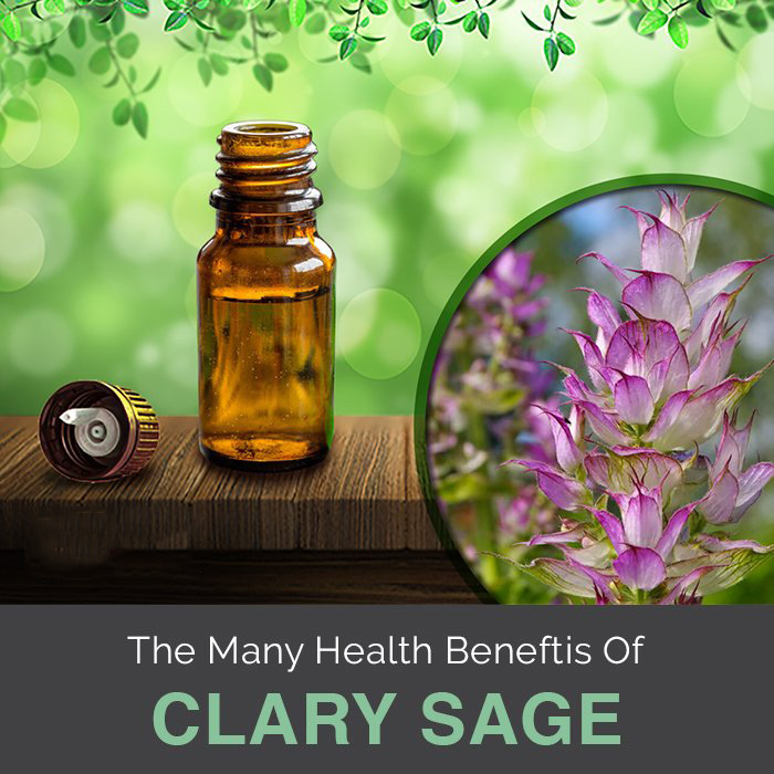 100% minyak esensial clary sage murni alami