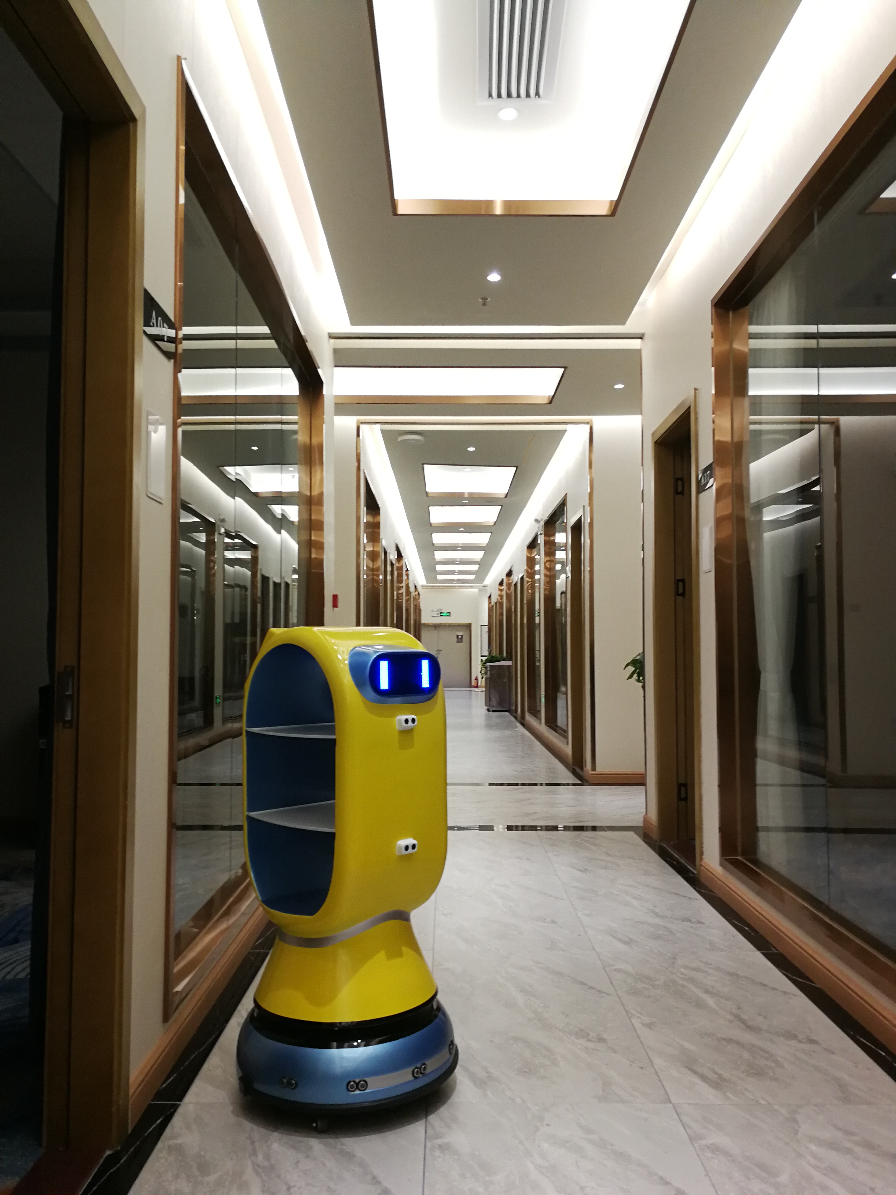 Humanoid Food Delivery Robot For Restaurants, High Quality Humanoid ...