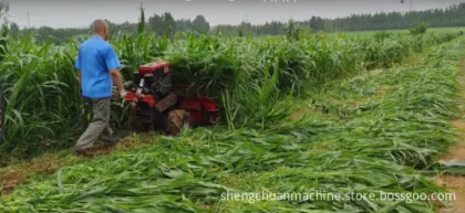 Grass Cutter and Rice Harvester: Agricultural Machinery Equipment for Fruit Reaping