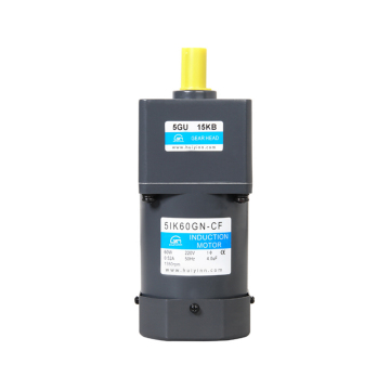 AC Induction Motor with Gearbox: 110V to 220V, Three-Phase to Single-Phase Speed Controller for Geared Motors