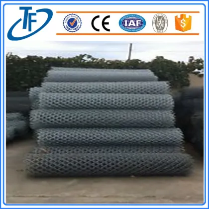 chain-link fences dog kennel