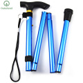 Fashion Telescopic Baton Hiking Trekking Poles