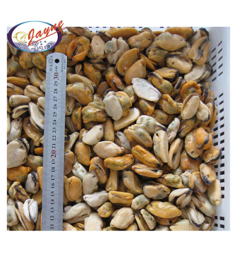 Seafood Export Frozen Live Shellfish Without Shell Blue Mussel Meat