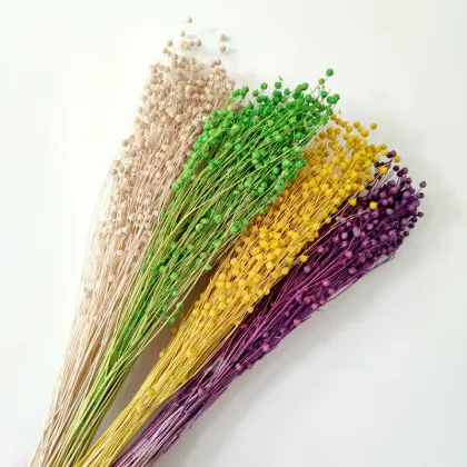 Dried Flowers and Botanicals: Acacia Beans, Hypericum Berries, and Natural Flax Bunch