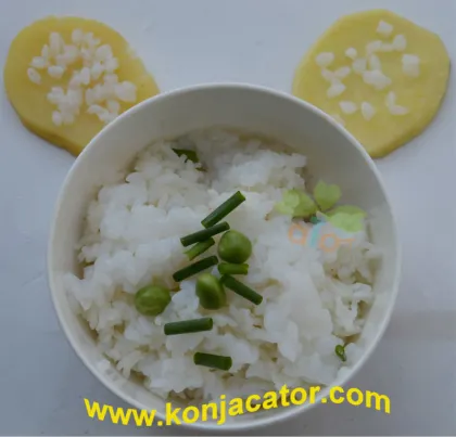 vegan diet weight loss shirataki noodles sugar free rice, konjac rice