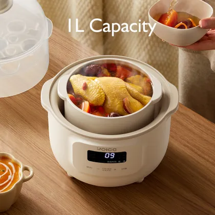OIDIRE 1000ml Capacity Stewed Soup Pot - Health Care Electric Stew Pot & Porridge Cup