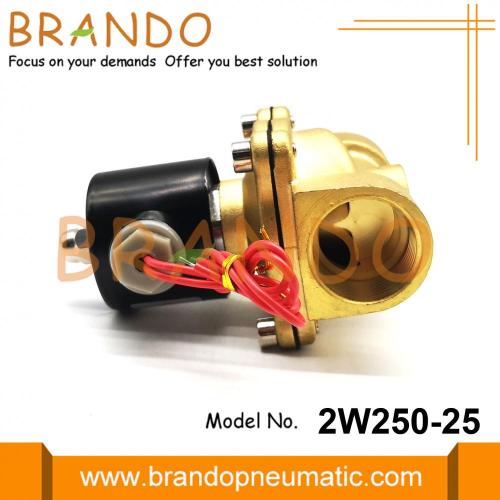 2W250-25 UW-25 Su Solenoid Valfı 1 &#39;&#39; İnç