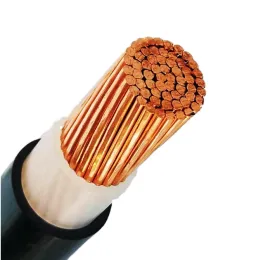 Supply Best Quality of CU/XLPE/PVC Single Core Cable