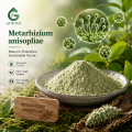 Metarhizium Anisopliae مسحوق فطريات التحكم البيولوجي