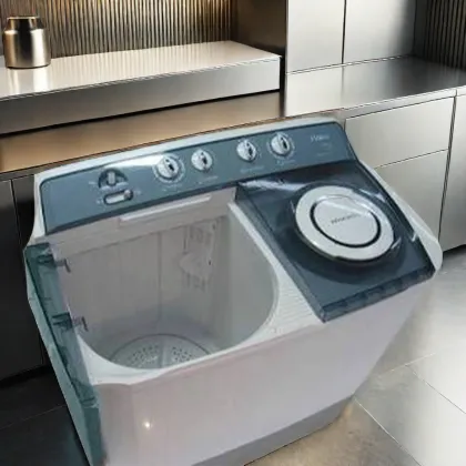 LG Large Capacity Twin Tub Washing Machine