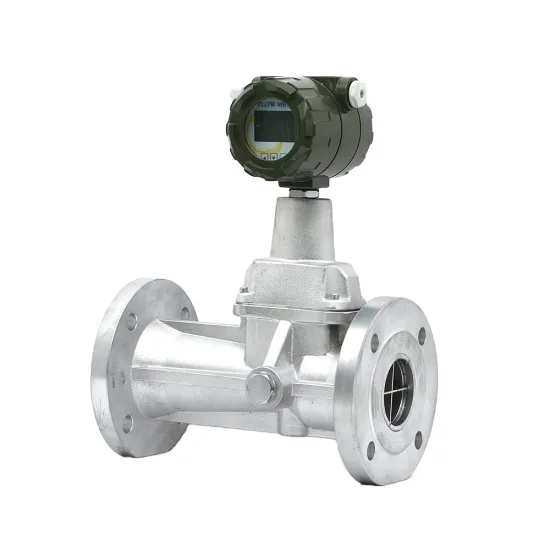 Explosion proof vortex precession flowmeter
