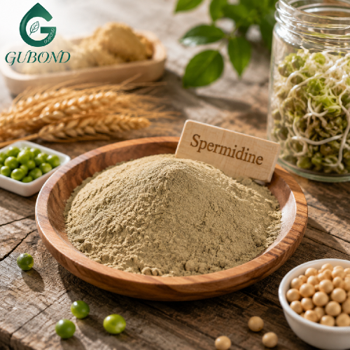 Polvo de espermidina de alta pureza para suplementos dietéticos