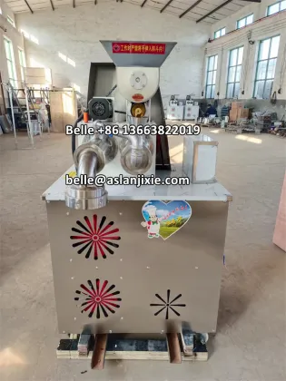 Commercial Vermicelli Rice Noodle Making Machine: Pasta Extruder for Thin Rice Noodles
