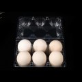 30 Holes Egg Box Blister Plastic Egg Tray
