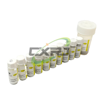 Kit di strumenti di recupero BGA con sfere di saldatura (0,2-0,76 mm)