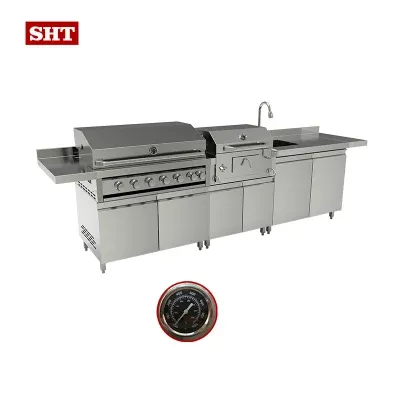 Commercial BBQ Luxury Kitchen Grill Cabinet Gas with 6 Burners