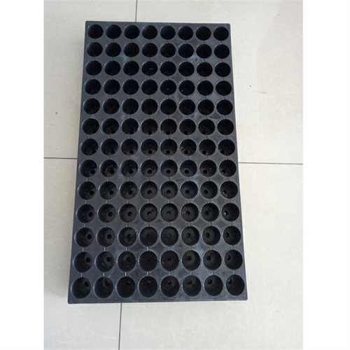 Plastic Seedling Greenhouse Nursery Tray