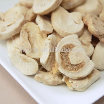 Popular unique dry freeze mushrooms