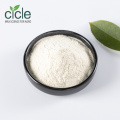 Chitosan Powder (high-density) DAC 90%min