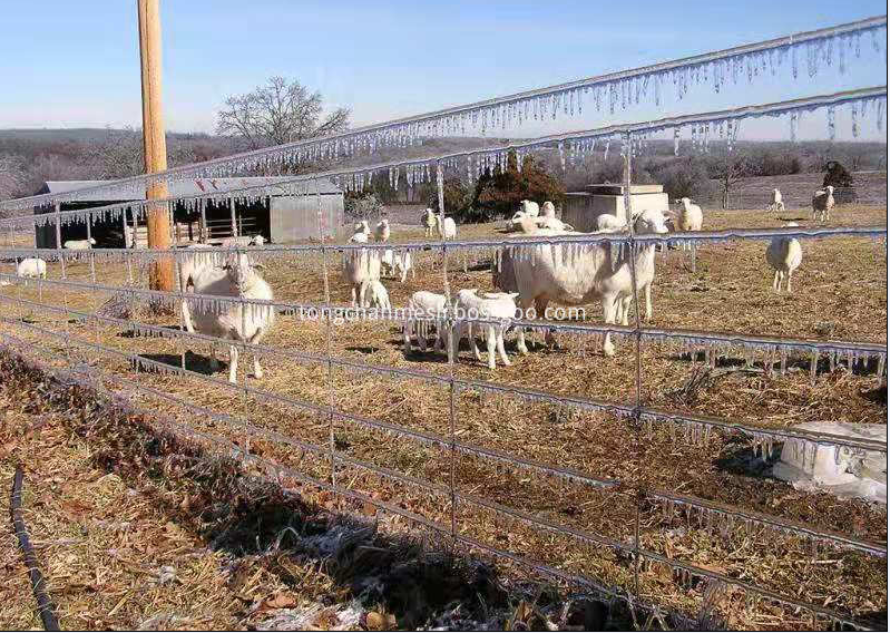 Fazenda e malha de rancho