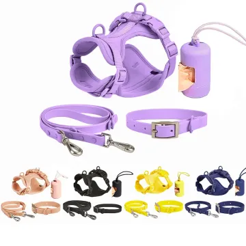 Kolorowy wodoodporny smycz i kołnierz PVC PVC - Brak ciągnięcia, brudu i zapachu