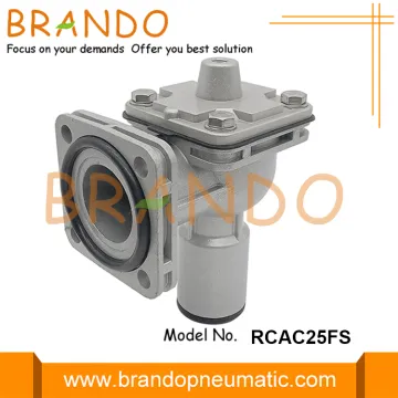 RCAC25FS GOYEN Type Pulse Valve RCAC25FS010 RCAC25FS020 RCAC25FS000