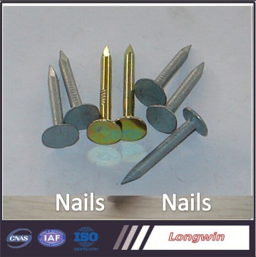 Tangshan hot selling cupper nails for sale