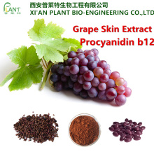 Натуральный экстракт виноградных косточек процианидин в2 порошок