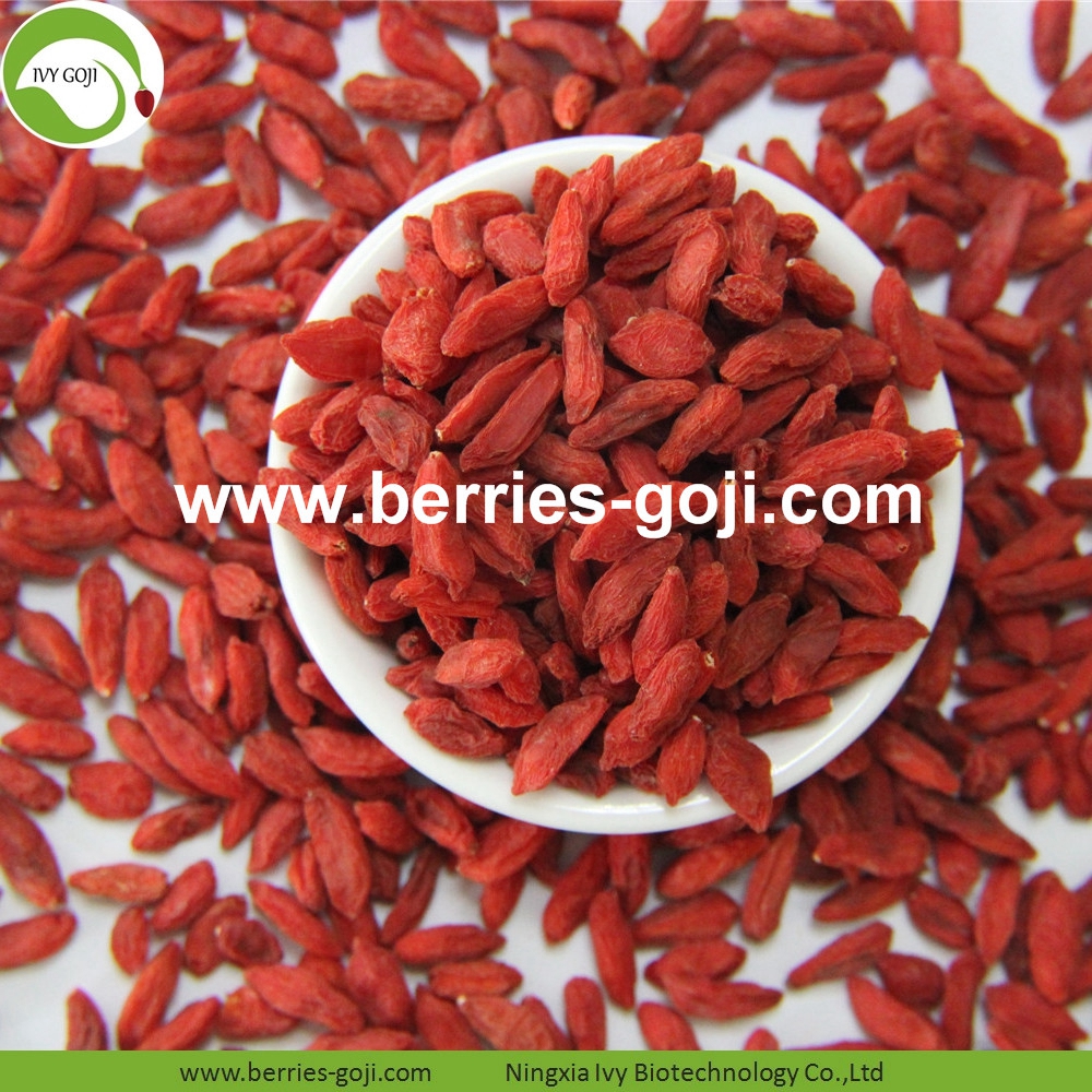 goji berry