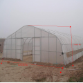 Gothic Single Span Greenhouse for Vegetables Flowers