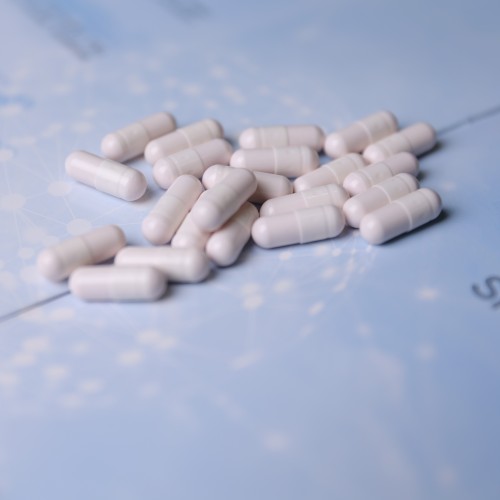 I probiotici ad alta stabilità integrano lo Streptococcus thermophilus