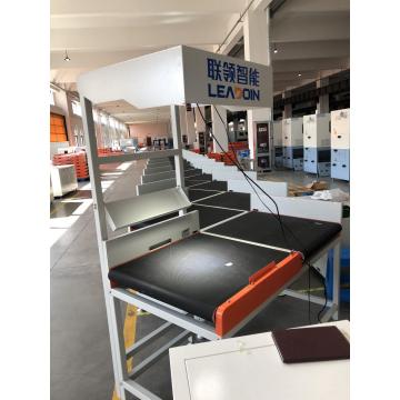 Logistic Center Package Sorting Machine