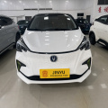 Changan Benben E-Star 2022 Model Qingxin Edition