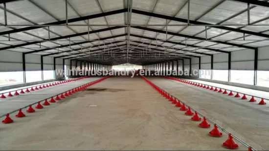 Highest quality cheap poultry farming equipment