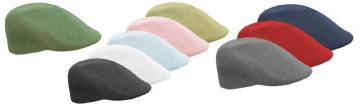Fashion Leisure Wool Cap (YZLC8)