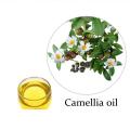 Camellia seed oil for skin care