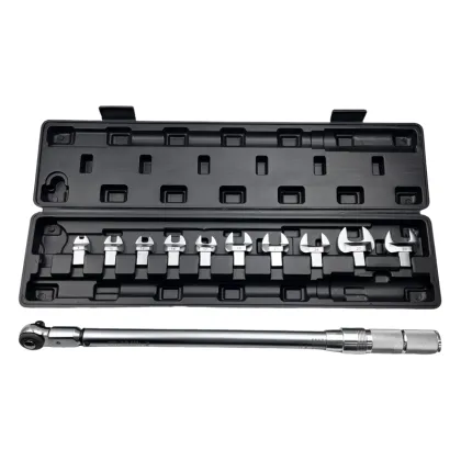 Precision Manual Torque Wrench Kit 60-330Nm