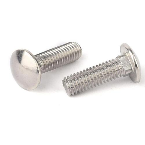 304 DIN603 carriage bolt Stainless Steel