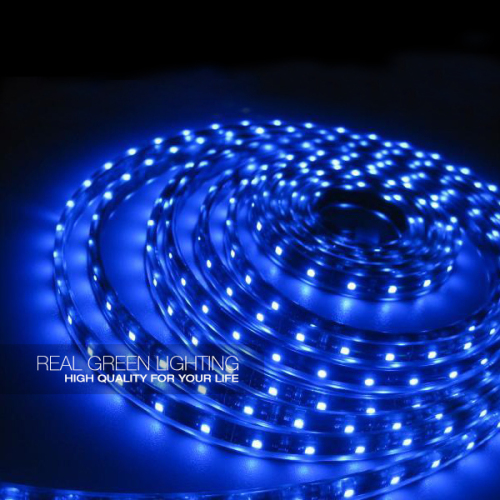 220V Blue Flexible 5050 Waterproof LED Strip Light