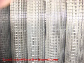 Galvanized Welded Wire Mesh Hardware Cloth Stainless Steel Welded Mesh