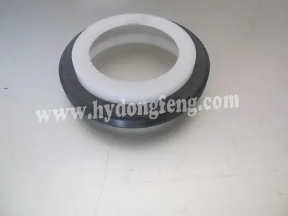 Cummins Oli seal C3921297