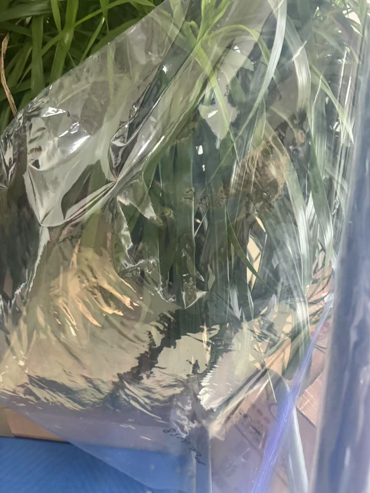 PVC shrink film transparent packaging
