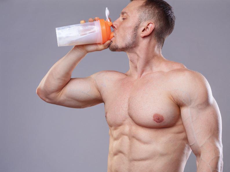 Whey Protein Powder bulk