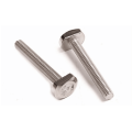 Stainless Steel T-head Bolt