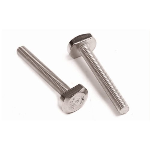 Stainless Steel T Head Bolt