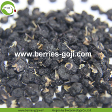 Factory Supply Fruit Υγιεινή άγρια ​​μαύρη Goji Berry