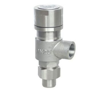 Safety Valve (A41H-16C)